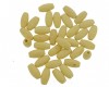 Bujão madeira marfim claro - 15x7 mm - 50 gr (+/- 220 pçs) MA-71